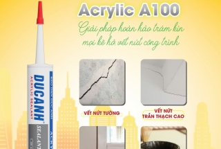 Những ứng dụng phổ biến của keo Acrylic A100 DucAnh trong xây dựng hiện đại